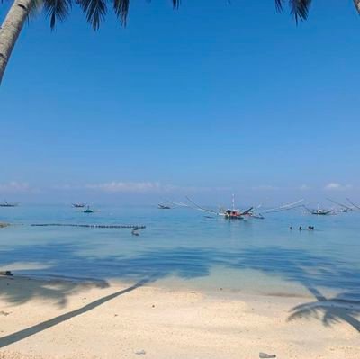 Romeloyster1's profile picture. 