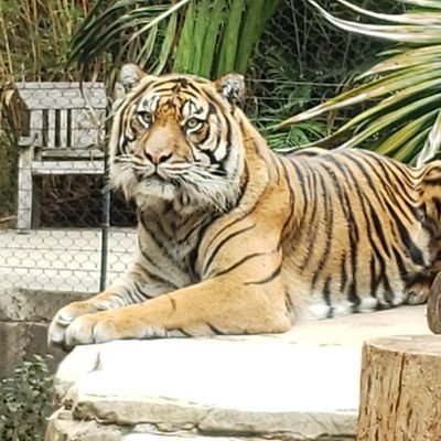 ZaraBataiye's profile picture. 