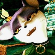 fennekitty | ΘΔ | 30+ | a good foxthing | interacts w/ nsfw sometimes | it/she | screee-mew