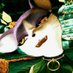 🐱eldritch cuddlebitch🦊 (@nightfallgemini) Twitter profile photo 🐱eldritch cuddlebitch🦊 (@nightfallgemini) Twitter profile photo