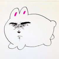 サイラス(爬虫類・齧歯類垢) (@cyrus_hato) 's Twitter Profile Photo サイラス(爬虫類・齧歯類垢) (@cyrus_hato) 's Twitter Profile Photo