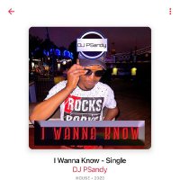 DJ PSandy (@djpsandy) 's Twitter Profile Photo