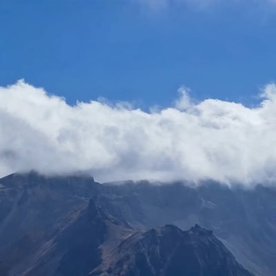 Gryllidea15's profile picture. 認清自己的位置，做好該做的事，一切成敗利鈍交給上帝。 中国語/日本語/English