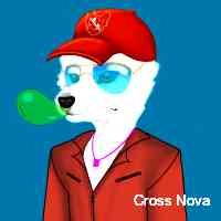 Social influencer || dm for promotions || crypto & nft promoter|| btc nft bnb web3 eth trx pepe newprojects raynewinners