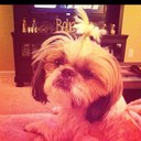 Angi Wolfe - @angiwolfe81 - Twitter