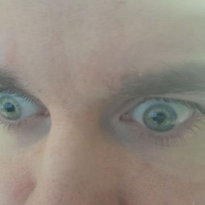 Twitch Affiliate | Horror/Pokemon/RPG streamer | Aspiring voice actor | ADHD | CEOs of Screams team member | 30 | He/him | https://t.co/Gv9xHnNyn8