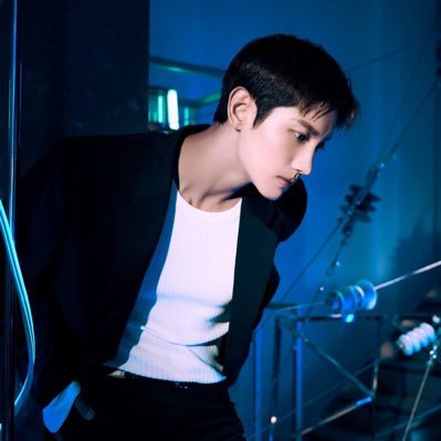 레비토이 Profile