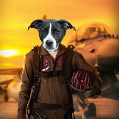 SachinPandya5's profile picture. 👨🏾‍🔬 7xAWL