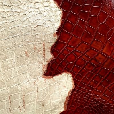 MrGiddyjames's profile picture. .