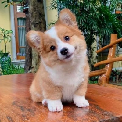 BevPopstar666's profile picture. 