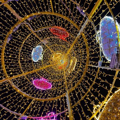 salvatoricri's profile picture. 