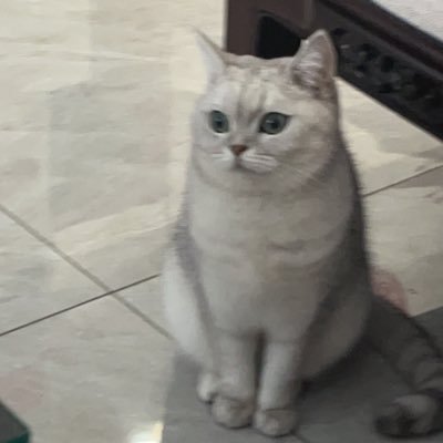 Guo7136's profile picture. 