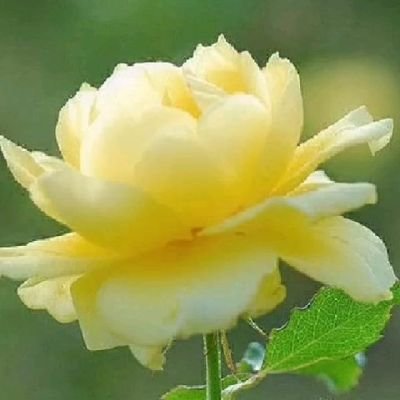 love79941's profile picture. 