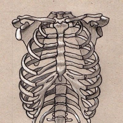 FreddyLiam5191's profile picture. 