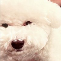 KA오RIN (@kaori_onelove) Twitter profile photo
