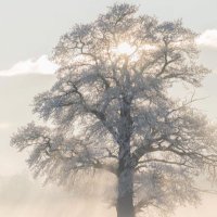 GiveAllWindFall (@giveallwindfall) 's Twitter Profile