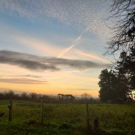 Sushfhjwhs16692's profile picture. 