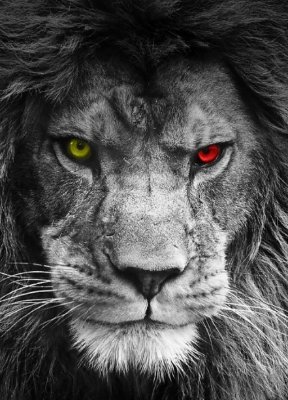 UamusA1905's profile picture. Bize her sevdadan geriye kalan, sadece GaLaTaSaRaY.