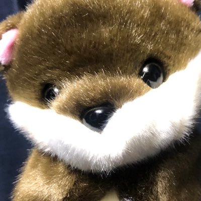 PUBGとLOLのプロしてました 今はスト6のプロ目指してます Crest→Sunsister→Fennel→Sengoku→? 配信先https://t.co/tFsd53Gm8v 案件、お仕事はegutoofficial@gmail.com またはDMまで