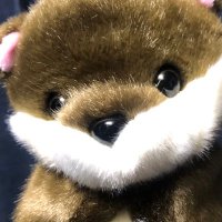 eguto (@masima1123) 's Twitter Profile