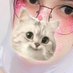 kyupittt🏳️⚧️ (@kyupiepie) Twitter profile photo kyupittt🏳️⚧️ (@kyupiepie) Twitter profile photo