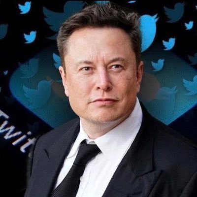 CEO of Tesla motors and spacex