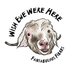 Wish Ewe Were Here (@wishewewerehere) Twitter profile photo Wish Ewe Were Here (@wishewewerehere) Twitter profile photo