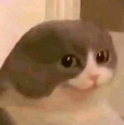 Amr61615686's profile picture. ...