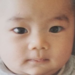진격거약한영웅좋아해요.^^라이트한덕질추구~^^일상계,지랄계