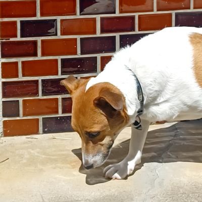 5hpxd6vDkV51231's profile picture. 