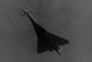 v_12's profile picture. 