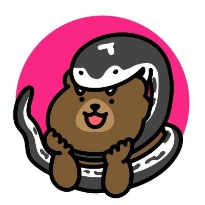 kuma_hachu's profile picture. 自他ともに認める雑な性格してます。気軽にどうぞ🐍