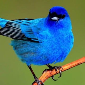 StevenWild6864's profile picture. Single and learning!