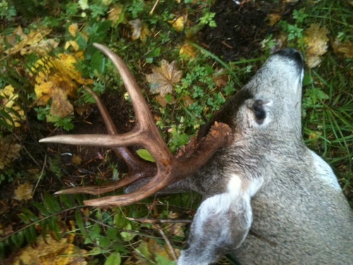 RobertMckibbin's profile picture. Bowhunter, husband and father.