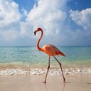 Chris Dunlap - @ChrissyDunlap1 - Twitter