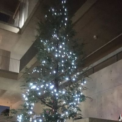 芸大通りにクリスマスツリーを飾ります🎄ツリーのイルミネーションは通常は太陽光発電で光っています✨
⭐2023年の活動は終了、ありがとうございました🎄
普段は何か楽しいイベントを企画します🥰
⏩Coming Soon