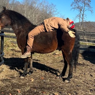 Regenerative farming in Southern WV. 

Software developer. Musician. Outdoor stuff. 

Genesis 1:29. Genesis 9:3.