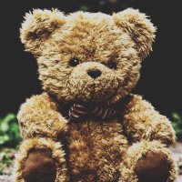 熊本文哉 (@kumachan1967) 's Twitter Profile Photo 熊本文哉 (@kumachan1967) 's Twitter Profile Photo