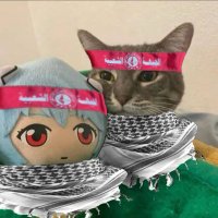 🇵🇸 (@rjuktuu) 's Twitter Profile Photo 🇵🇸 (@rjuktuu) 's Twitter Profile Photo