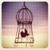 DomesticCodess (@domesticcodess) Twitter profile photo DomesticCodess (@domesticcodess) Twitter profile photo