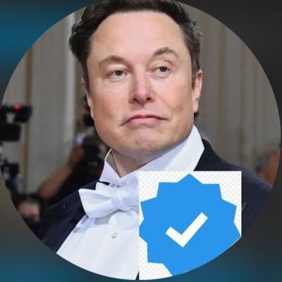Elon Musk pvt acct