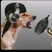 songs254's profile picture. promoting kenyan music