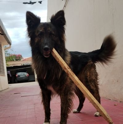 MoRo_1995's profile picture. Soy estudiante de abogacía de la FD de la UNCuyo, trabajo como camarógrafo freelance. Soy hincha de River Plate, entre otras cosas amo la birra de Berlina!!