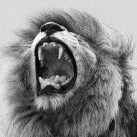 Qatari ๐ต๐ธ (@_itsqatari) 's Twitter Profile
