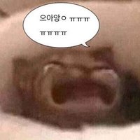 냥냥 (@yukko32316) 's Twitter Profile