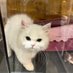Ann (@an6873062659283) Twitter profile photo Ann (@an6873062659283) Twitter profile photo