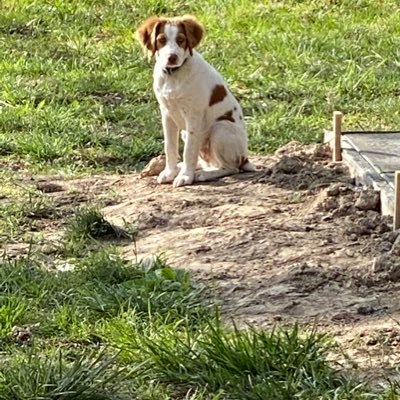 Greg100359's profile picture. 