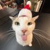 weyolll5 navideño!!!🎅🎄 (@weyolll5) Twitter profile photo weyolll5 navideño!!!🎅🎄 (@weyolll5) Twitter profile photo