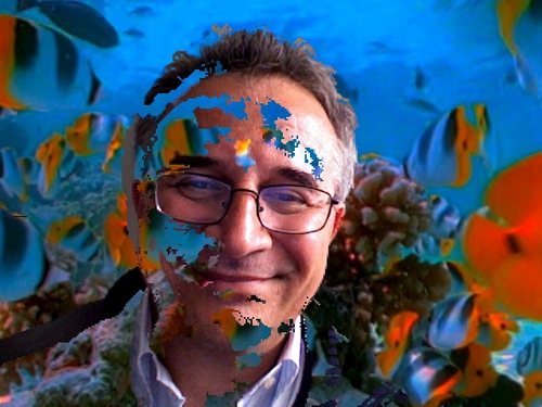 franconugnes's profile picture. Direttore di https://t.co/Kw04PaHDKX segue le corse sempre di corsa