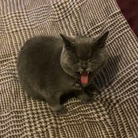 ouzkahnwald (@ouzkahnwald) 's Twitter Profile Photo